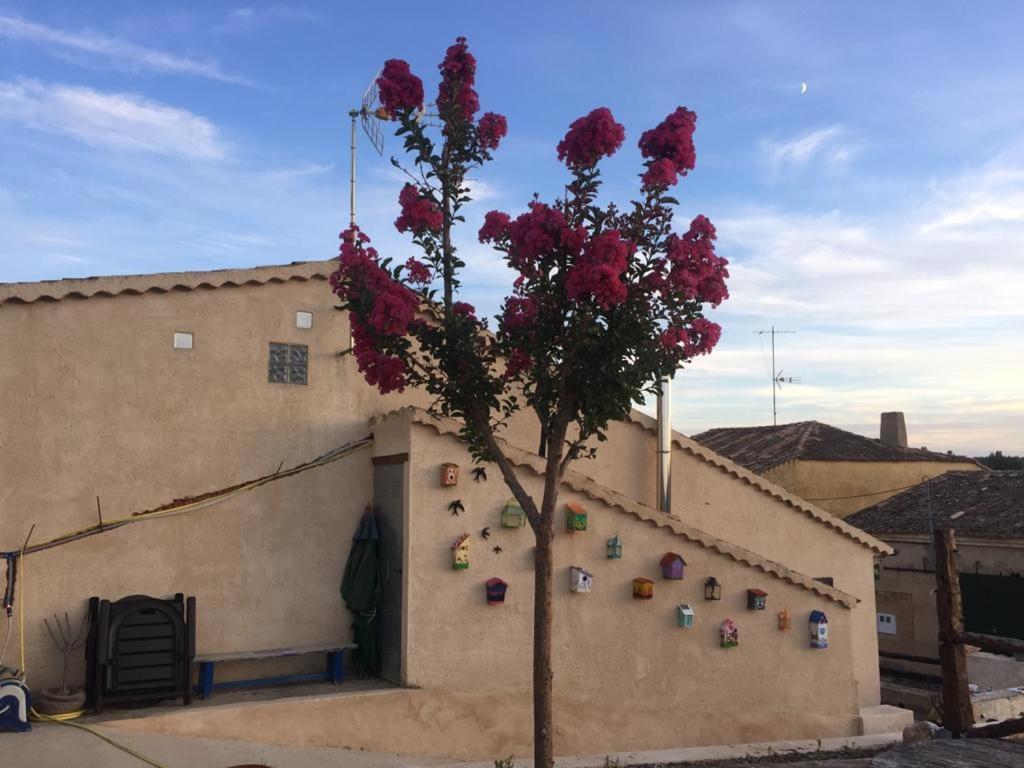 Casa Rural La Charolesa Aguilera Exteriör bild